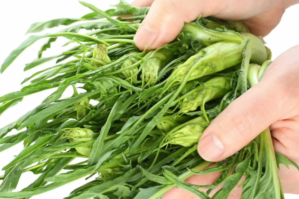 Le puntarelle romane